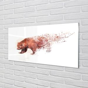 Nástenný panel  medveď 100x50 cm