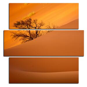 Obraz na plátne - Červené piesočné duny - štvorec 3133D (75x75 cm)