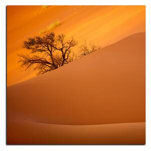 Obraz na plátne - Červené piesočné duny - štvorec 3133A (50x50 cm)