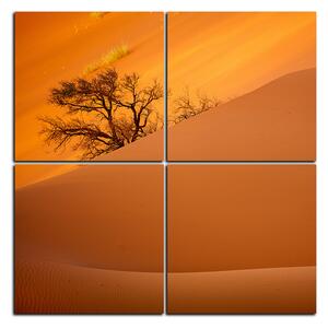 Obraz na plátne - Červené piesočné duny - štvorec 3133E (60x60 cm)