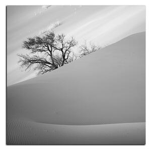Obraz na plátne - Červené piesočné duny - štvorec 3133QA (50x50 cm)