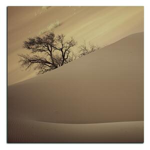 Obraz na plátne - Červené piesočné duny - štvorec 3133FA (50x50 cm)