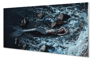 Nástenný panel  morská siréna 100x50 cm