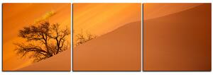Obraz na plátne - Červené piesočné duny - panoráma 5133B (90x30 cm)