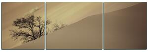 Obraz na plátne - Červené piesočné duny - panoráma 5133FC (150x50 cm)