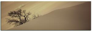 Obraz na plátne - Červené piesočné duny - panoráma 5133FA (105x35 cm)