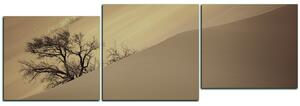 Obraz na plátne - Červené piesočné duny - panoráma 5133FD (90x30 cm)