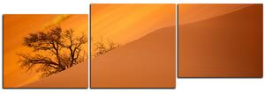 Obraz na plátne - Červené piesočné duny - panoráma 5133D (90x30 cm)