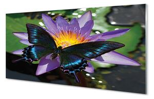 Obraz na akrylátovom skle Motýľ kvetina 120x60 cm 4 Prívesky