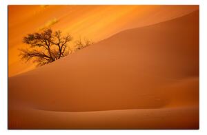 Obraz na plátne - Červené piesočné duny 1133A (120x80 cm)