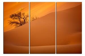 Obraz na plátne - Červené piesočné duny 1133B (150x100 cm)