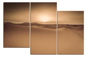 Obraz na plátne - Púšť Sahara 1131FD (120x80 cm)