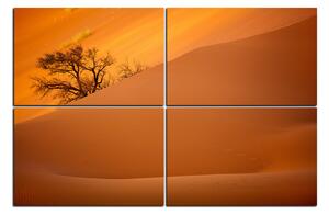 Obraz na plátne - Červené piesočné duny 1133E (90x60 cm)