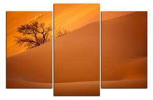 Obraz na plátne - Červené piesočné duny 1133C (150x100 cm)