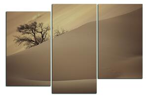Obraz na plátne - Červené piesočné duny 1133FD (120x80 cm)