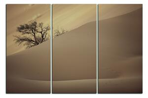 Obraz na plátne - Červené piesočné duny 1133FB (90x60 cm )