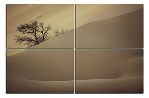 Obraz na plátne - Červené piesočné duny 1133FE (120x80 cm)