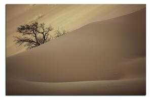 Obraz na plátne - Červené piesočné duny 1133FA (60x40 cm)