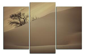 Obraz na plátne - Červené piesočné duny 1133FC (120x80 cm)