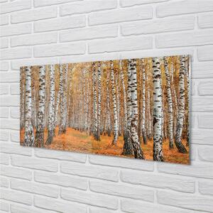 Nástenný panel  jesenné stromy 100x50 cm