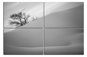 Obraz na plátne - Červené piesočné duny 1133QE (150x100 cm)