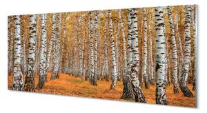 Obraz plexi Jesenné stromy 140x70 cm 2 Prívesky