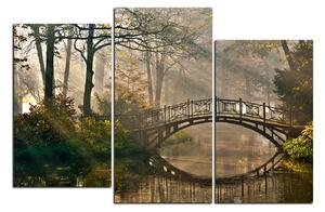 Obraz na plátne - Starý most 1139D (150x100 cm)