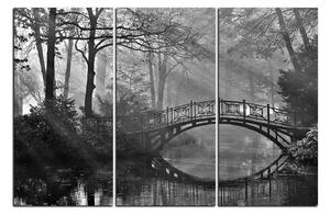 Obraz na plátne - Starý most 1139QB (105x70 cm)