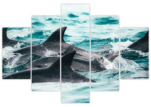 Obraz - Delfíny v oceáne (150x105 cm)