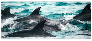 Obraz - Delfíny v oceáne (120x50 cm)