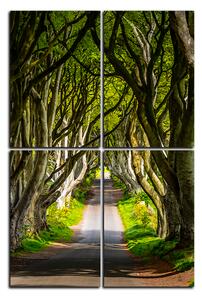Obraz na plátne - Tmavé ploty v Irsku - obdĺžnik 7134D (90x60 cm)