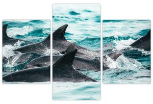 Obraz - Delfíny v oceáne (90x60 cm)