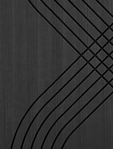 Infinity Wood - drevený dekoračný panel Farba: Oak - Satin Black