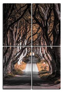 Obraz na plátne - Tmavé ploty v Irsku - obdĺžnik 7134FD (90x60 cm)