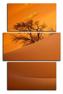 Obraz na plátne - Červené piesočné duny - obdĺžnik 7133C (90x60 cm)