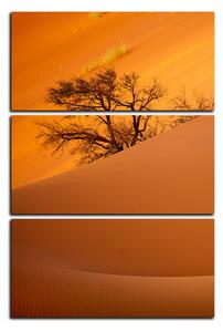 Obraz na plátne - Červené piesočné duny - obdĺžnik 7133B (90x60 cm )