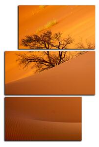 Obraz na plátne - Červené piesočné duny - obdĺžnik 7133D (120x80 cm)