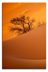 Obraz na plátne - Červené piesočné duny - obdĺžnik 7133A (120x80 cm)