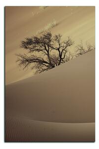 Obraz na plátne - Červené piesočné duny - obdĺžnik 7133FA (60x40 cm)