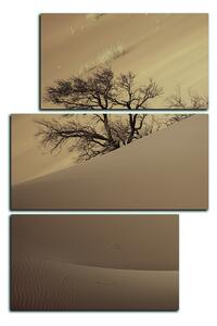 Obraz na plátne - Červené piesočné duny - obdĺžnik 7133FD (90x60 cm)
