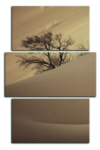 Obraz na plátne - Červené piesočné duny - obdĺžnik 7133FC (90x60 cm)