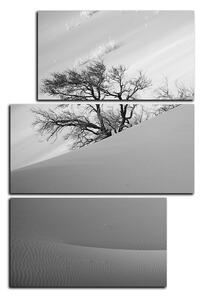 Obraz na plátne - Červené piesočné duny - obdĺžnik 7133QD (120x80 cm)