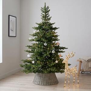 Zelený vianočný stromček Grandis 210 cm - Zelená - 201 - 230 cm - Výška 210 cm - Zelené stromčeky