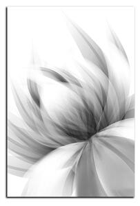 Obraz na plátne - Elegantný kvet - obdĺžnik 7147QA (60x40 cm)