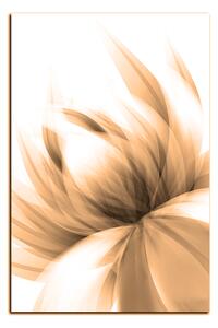 Obraz na plátne - Elegantný kvet - obdĺžnik 7147FA (120x80 cm)