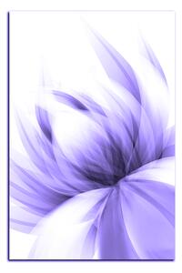 Obraz na plátne - Elegantný kvet - obdĺžnik 7147VA (60x40 cm)