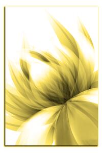 Obraz na plátne - Elegantný kvet - obdĺžnik 7147ZA (90x60 cm )