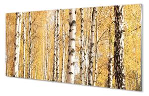 Obraz plexi Jesenné stromy 140x70 cm 2 Prívesky
