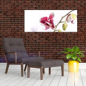 Obraz kvetu orchidey (120x50 cm)