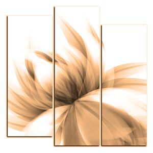 Obraz na plátne - Elegantný kvet - štvorec 3147FC (75x75 cm)